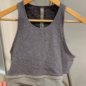 Aritzia Sports Crop Top